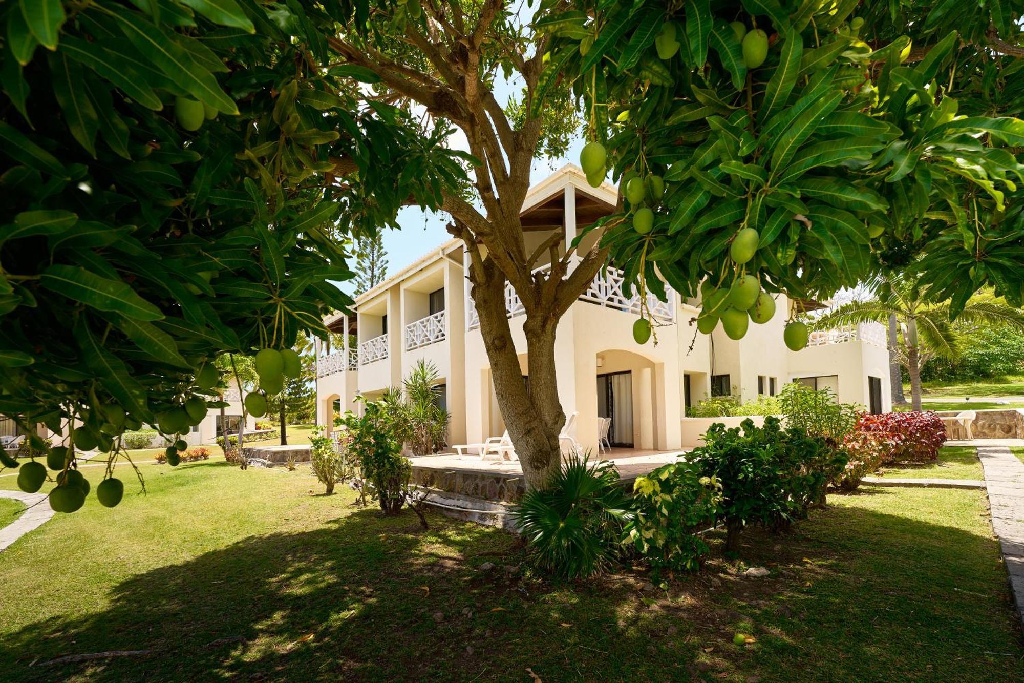 Mount Nevis Hotel Екстериор снимка